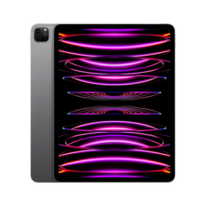 Apple 11-inch iPad Pro M4 with Nano-Texture Glass